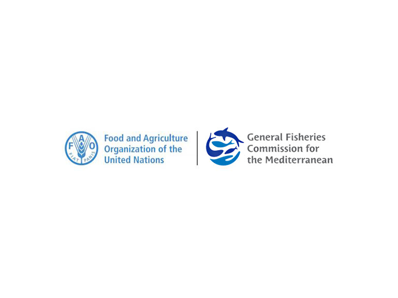 15.food and agriculture logo